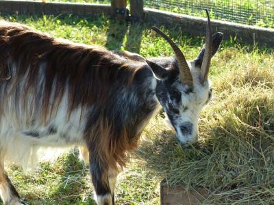 Festival Ville et Campagne